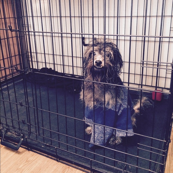 Meet your Posher, Demetrius - Picture 7 of 11